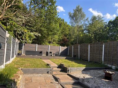 Picture 19